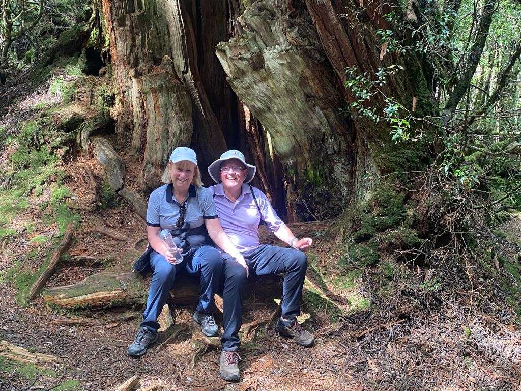 Air Adventure guests exploring an ancient mossy forest together